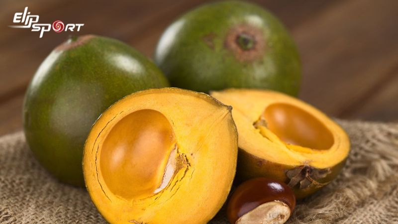 Quả lekima hay c&ograve;n được gọi l&agrave; quả trứng g&agrave;
