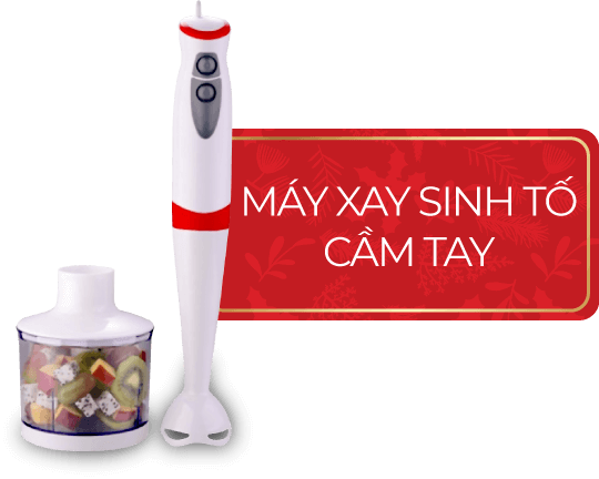 máy xay xinh tố cầm tay