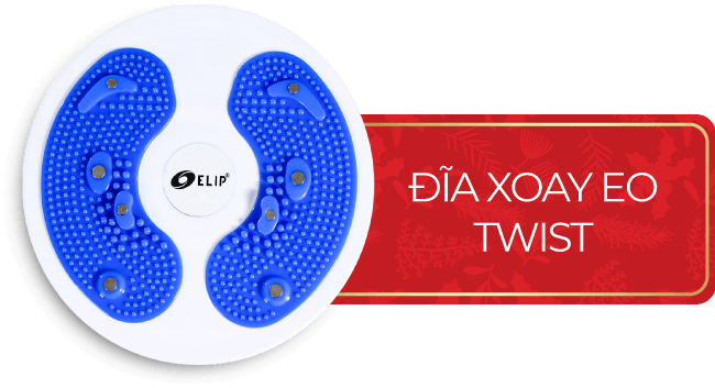Đĩa xoay twist