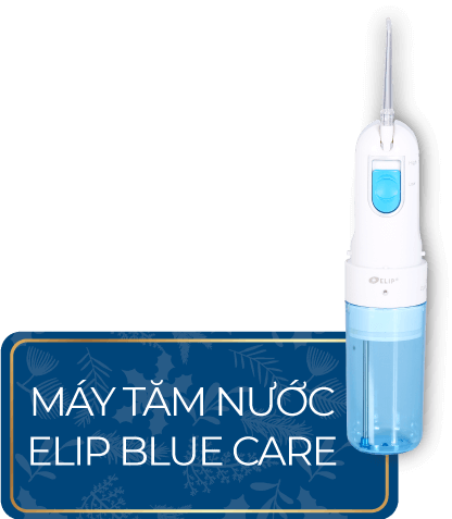 Máy tăm nước elip bule care