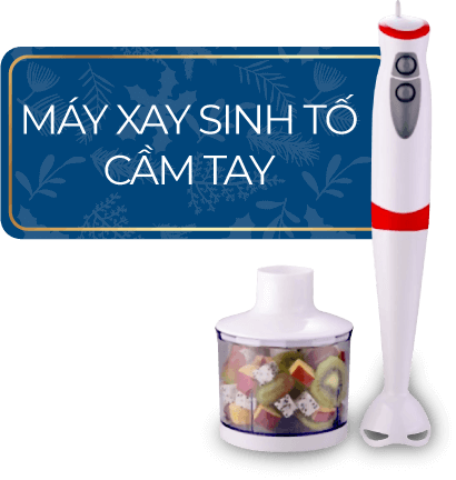 Máy xay sinh tố cầm tay