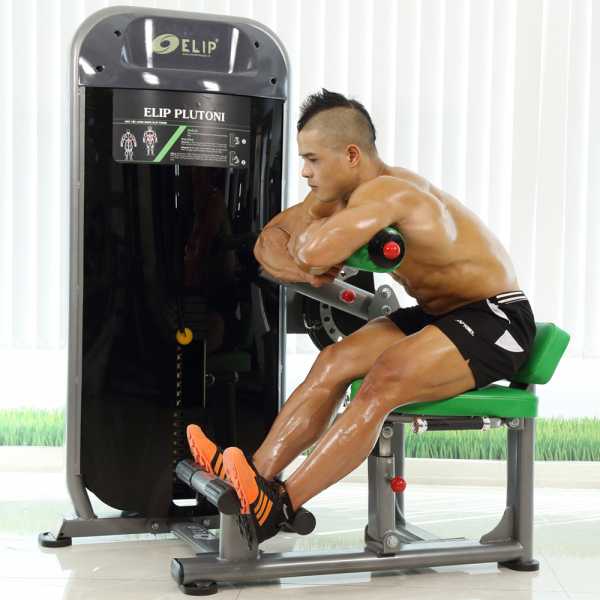 Máy tập lưng + bụng ELIP PU008