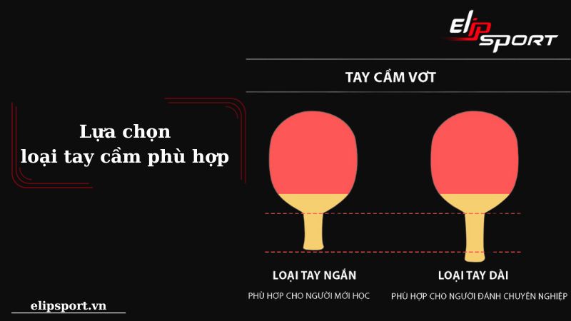 C&aacute;c loại c&aacute;n vợt b&oacute;ng b&agrave;n phổ biến