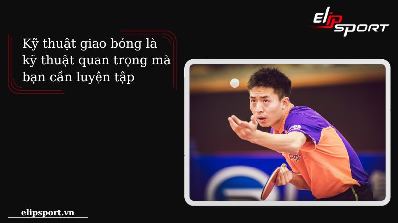 Người giao b&oacute;ng l&agrave; người đ&aacute;nh quả b&oacute;ng đầu ti&ecirc;n trong mỗi loạt đường b&oacute;ng qua lại
