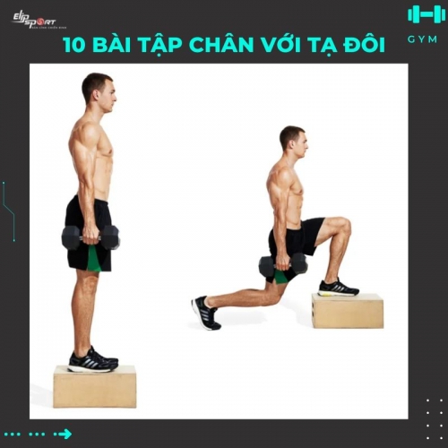 10 bài tập chân với tạ đôi tại nhà hiệu quả nhất cho người mới 