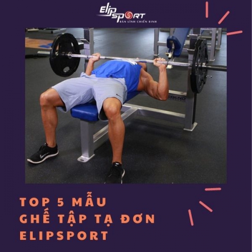 Các loại ghế tập tạ đơn, đẩy tạ đơn giá rẻ tại Jun8863 tải ứng dụng