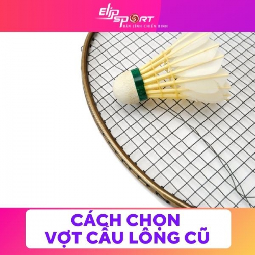 Cách Chọn Vợt Cầu Lông Cũ Giá Rẻ Chất Lượng
