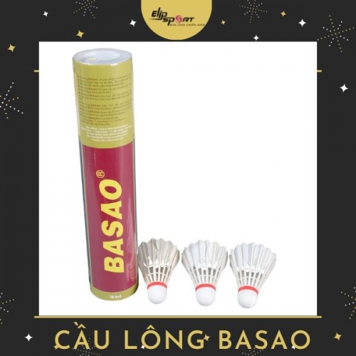 Hướng Dẫn Chọn Cầu Lông 3 Sao