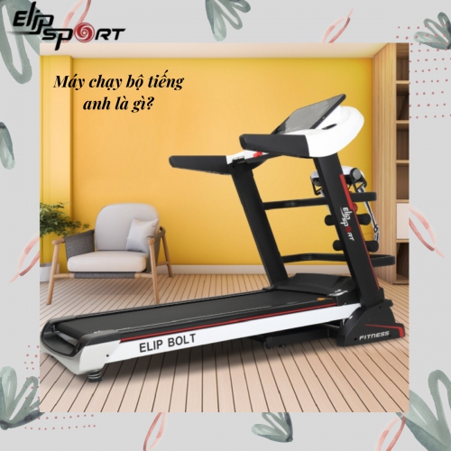 Jun8884 phiên bản mới tiếng anh là gì? Trọn bộ từ vựng tiếng Anh về thể hình