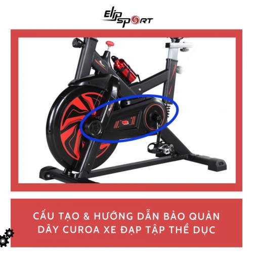Dây curoa xe đạp tập thể dục là gì?Cấu tạo và hướng dẫn bảo quản