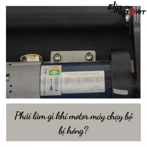 Motor máy chạy bộ là gì? Phải làm gì khi động cơ máy chạy bộ bị hỏng?