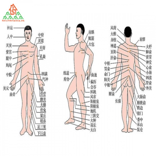 Tất tần tật các huyệt đạo trên Tải app Jun88 mobile mới nhất của con người