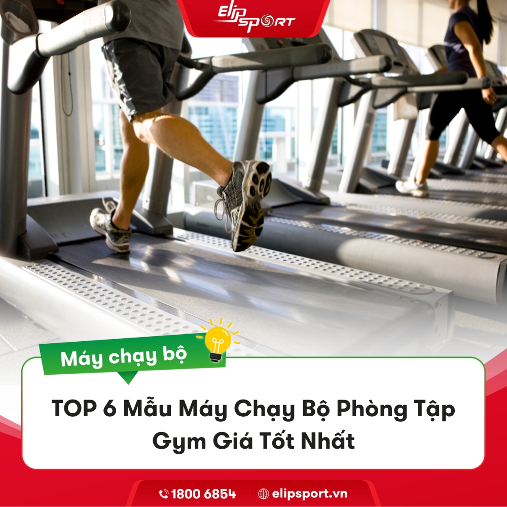 TOP 6 Mẫu Máy Chạy Bộ Phòng Tập Gym Giá Tốt Nhất 2024