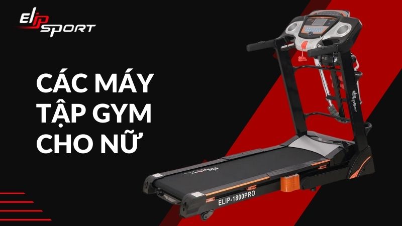 Tổng hợp các máy tập gym cho nữ được sử dụng nhiều nhất