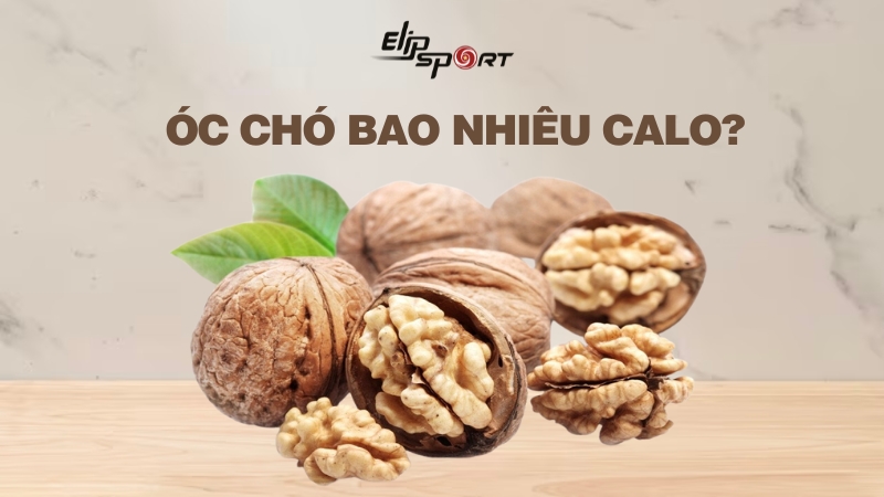100g hạt óc chó bao nhiêu calo? Ăn nhiều hạt óc chó có tốt không?