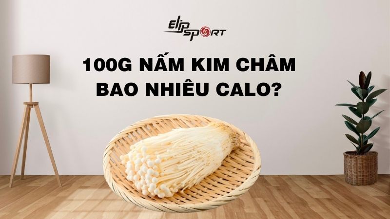 100g nấm kim châm bao nhiêu calo? Công dụng, bài thuốc từ nấm kim châm