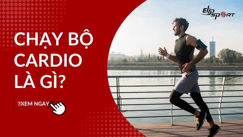 Chạy bộ cardio là gì? Tác dụng khi chạy Cardio và lưu ý khi chạy