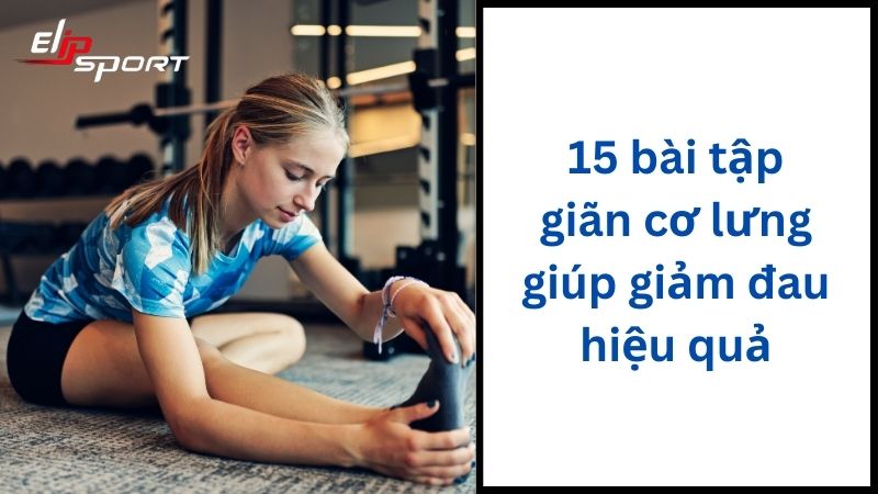 15 bài tập giãn cơ lưng giúp giảm đau hiệu quả