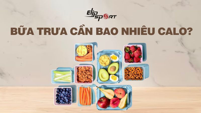 Bữa trưa cần bao nhiêu calo nạp vào Tải app Jun88 mobile mới nhất để giảm cân hiệu quả?
