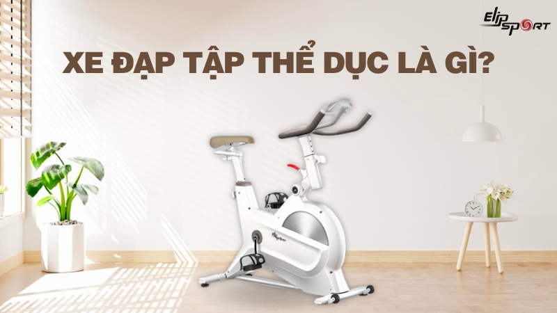 Jiun88 tải ứng dụng thể dục là gì? Lợi ích, top 10 mẫu xe được yêu thích