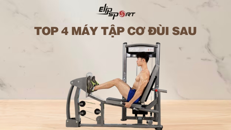 Top 4 máy tập cơ đùi sau chất lượng và hiệu quả nhất