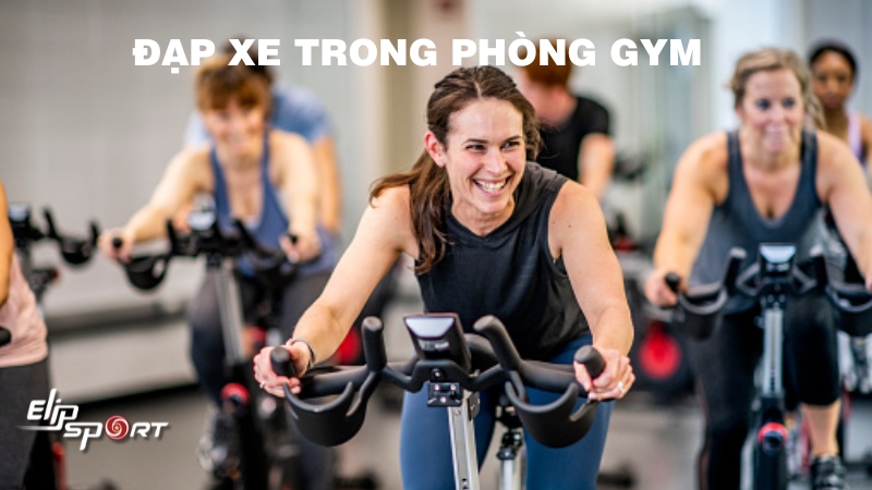 Đạp xe trong phòng gym có tác dụng gì? 3 mẫu xe được yêu thích tại Jun8863 tải ứng dụng