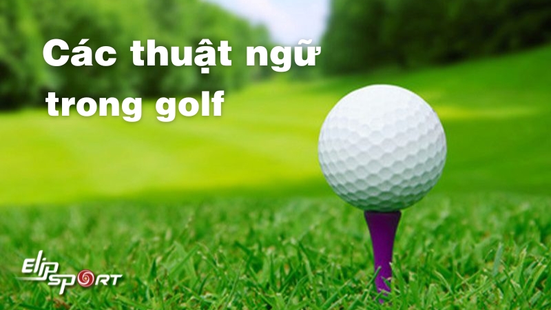 80+ thuật ngữ golf đầy đủ nhất 2024 mọi golfer cần nắm rõ