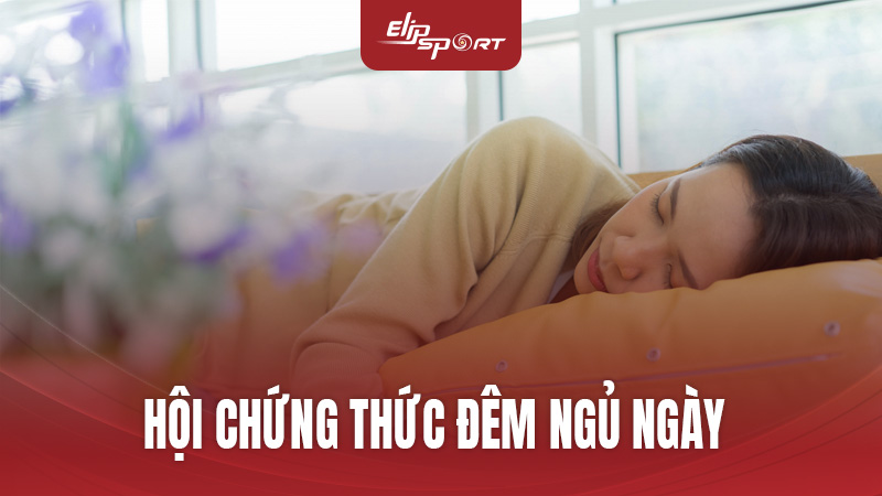 Hội Chứng Thức Đêm Ngủ Ngày: Nguyên Nhân, Tác Hại Và Cách Điều Trị Hiệu Quả Cùng Jun8892 Trang Chính Thức