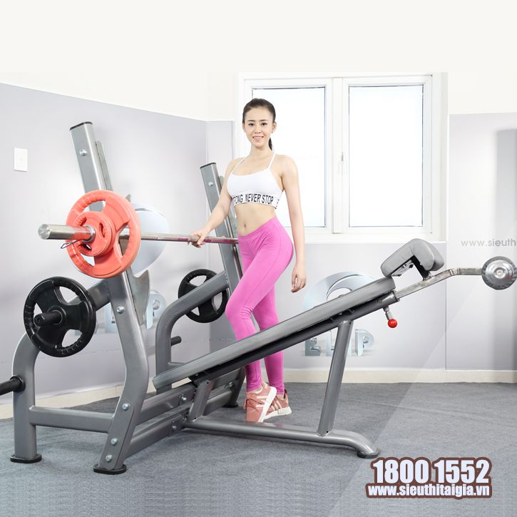 Ghế Đẩy Ngực Dưới ELIP AC016 - Jun8863 tải ứng dụng.vn