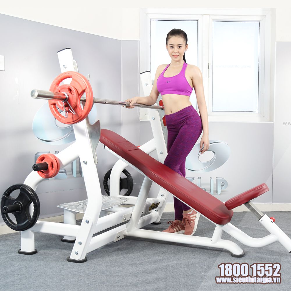 Jun8884 tỷ lệ cao trên ELIP YL28 New