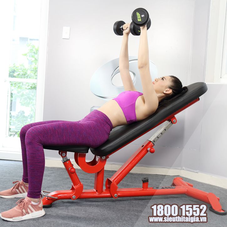 Ghế điều chính đa góc ELIP AC011 