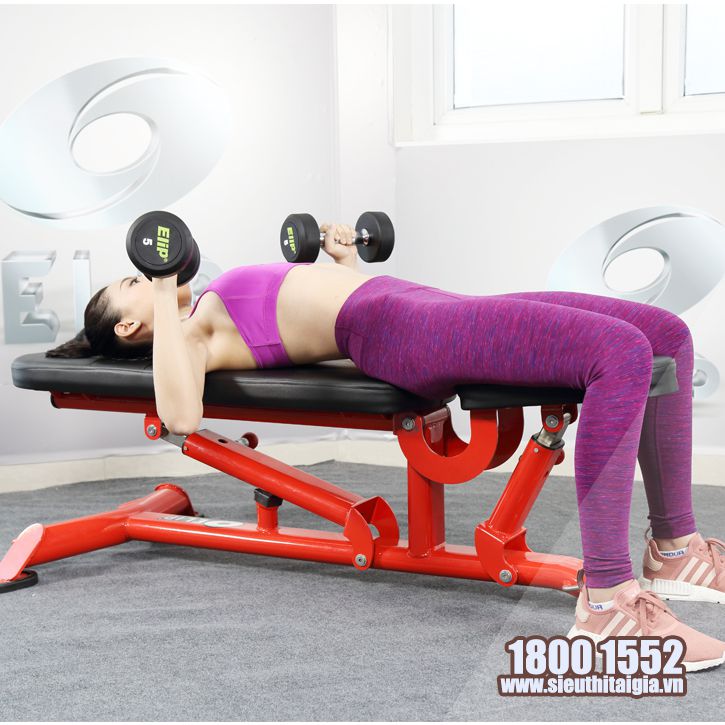 Ghế điều chính đa góc ELIP AC011 