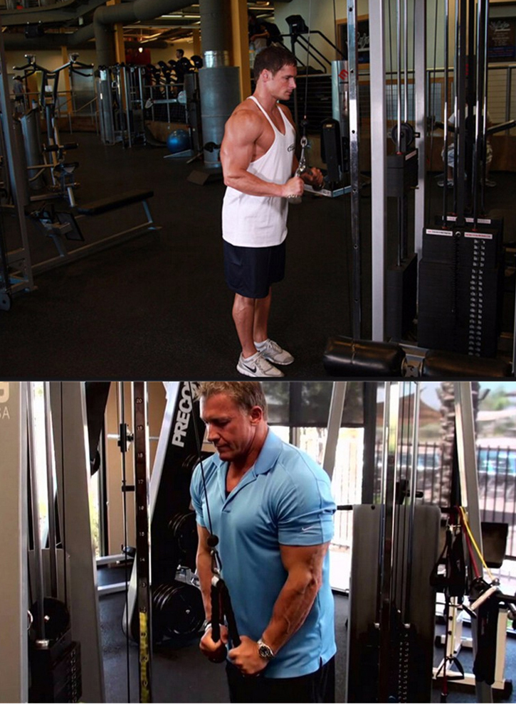 Dây Thừng Tập Gym ELIP - Jun8863 tải ứng dụng.vn