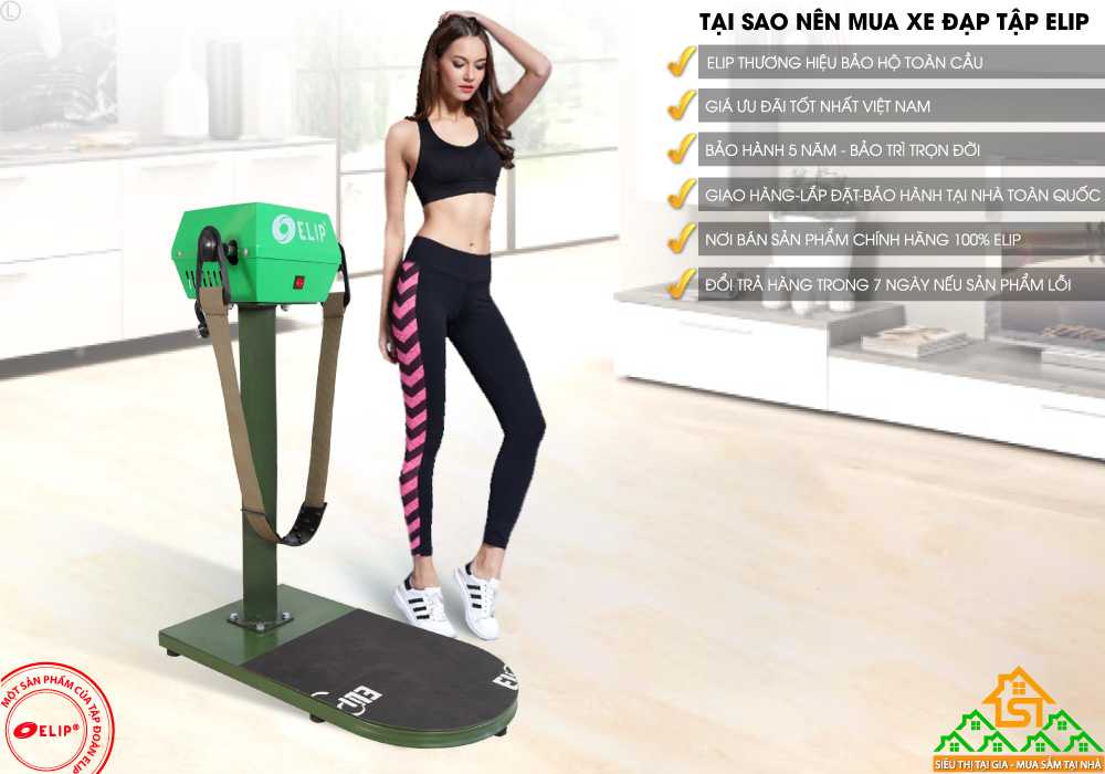 Máy rung bụng đứng ELIP