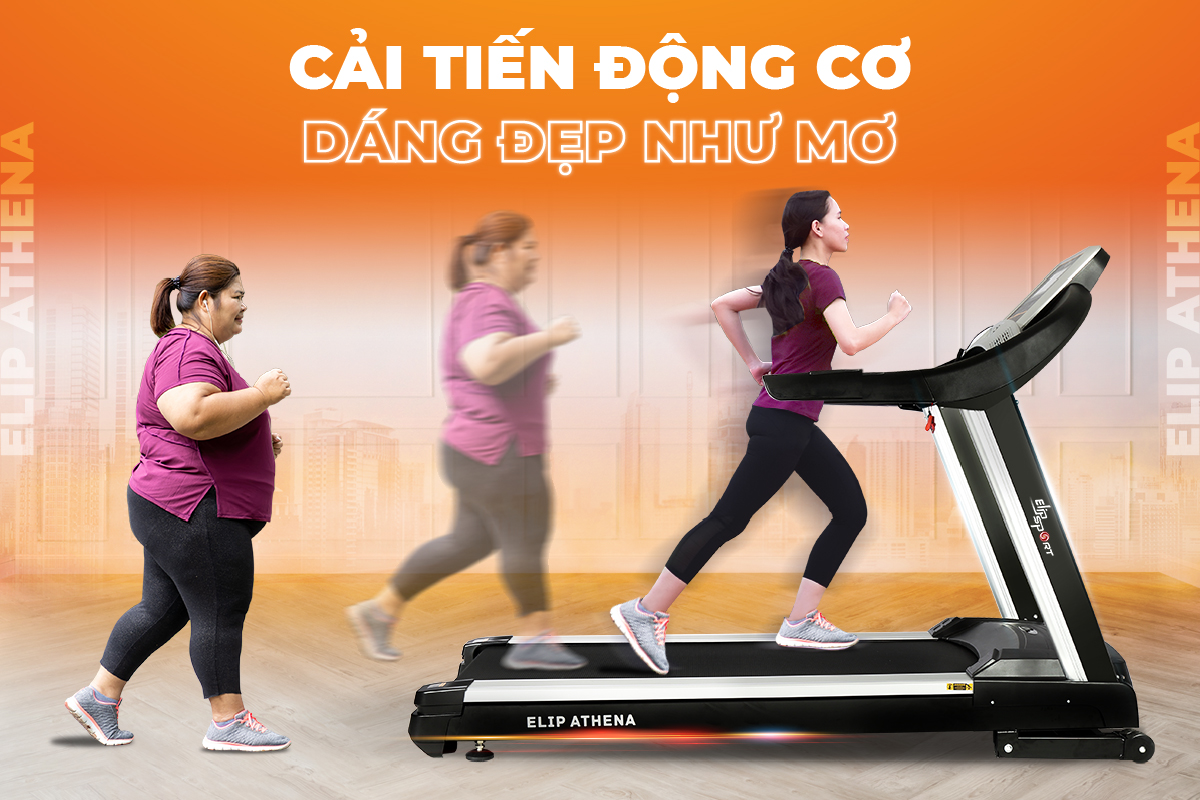 Jun8884 phiên bản mới phòng gym - ELIP Athena
