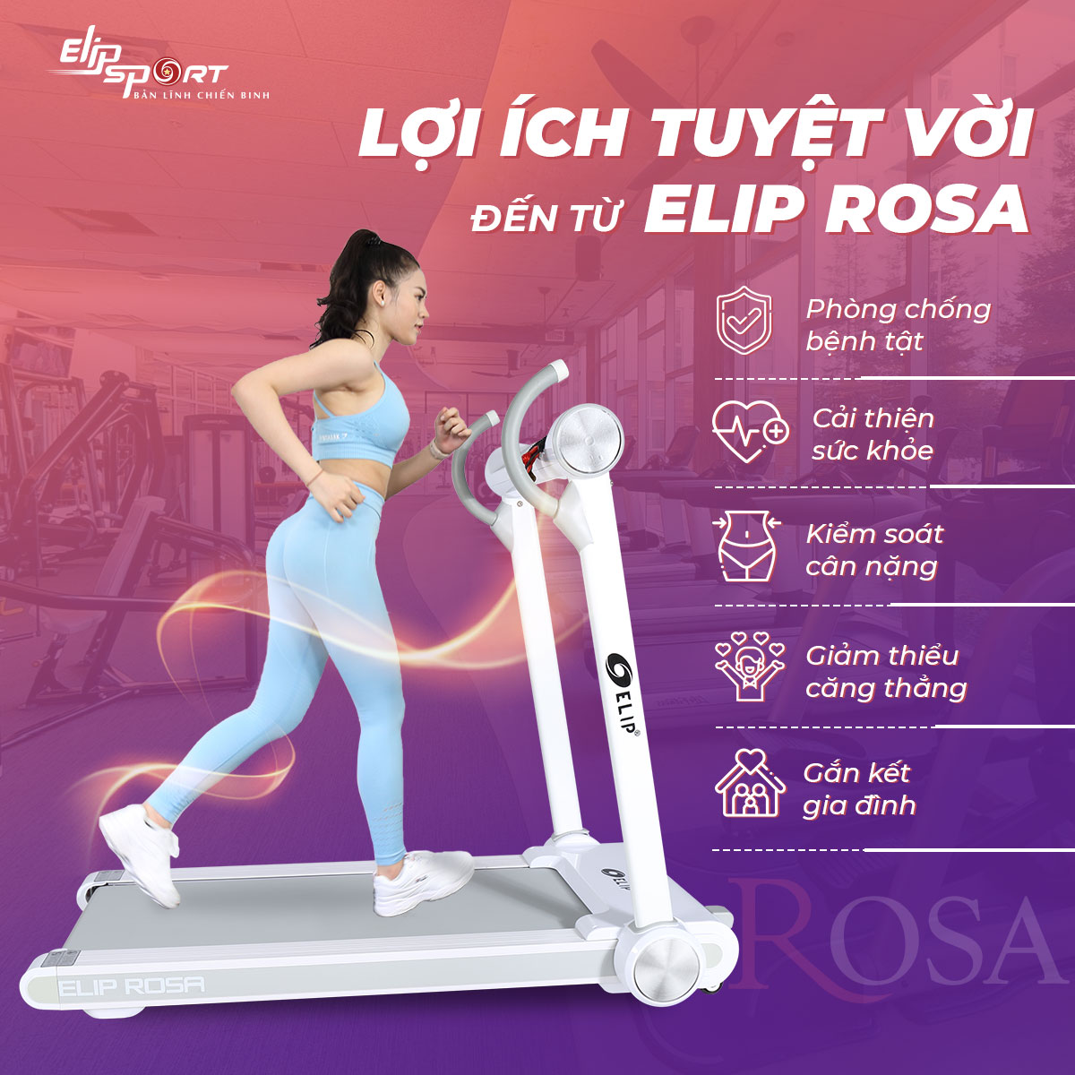Jun8884 phiên bản mới điện đơn năng ELIP Rosa