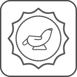Thiết Kế<br>Sang Trọng