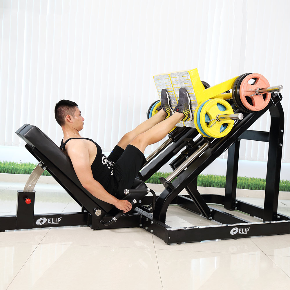 Ảnh sản phẩm Máy đạp đùi xiên Elip OLY213