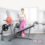 Ảnh sản phẩm Jun8884 tỷ lệ cao dưới Elip YL29 New