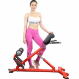 Ảnh sản phẩm Ghế tập lưng Elip YL33