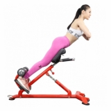 Ảnh sản phẩm Ghế tập lưng Elip AC007 