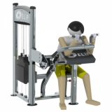 Ảnh sản phẩm Máy tập cơ tay trước Elip AC036 