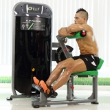 Ảnh sản phẩm Máy tập lưng+bụng Elip PU008