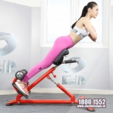 Ảnh sản phẩm Ghế tập lưng Elip AC007 