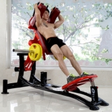 Ảnh sản phẩm Máy tập gánh đùi Elip YL44