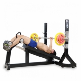 Ảnh sản phẩm Jun8884 tỷ lệ cao dưới Elip OLY106