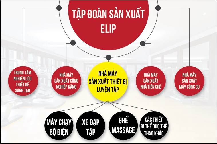Sơ đồ của tập đo&agrave;n đa ng&agrave;nh Elip